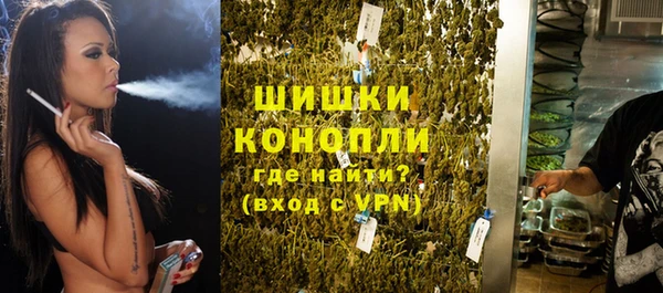 гидра Аркадак