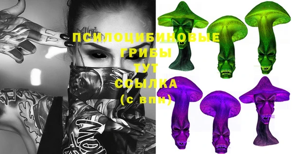 гидра Аркадак
