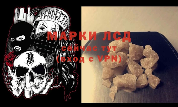 гидра Аркадак