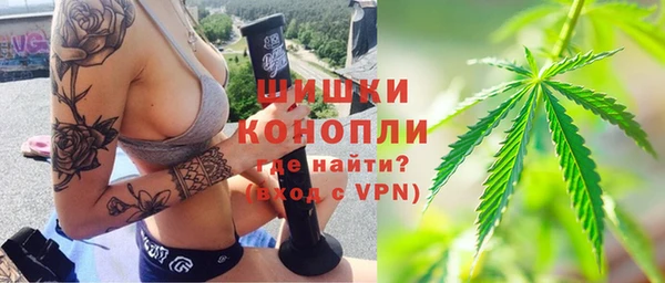 гидра Аркадак