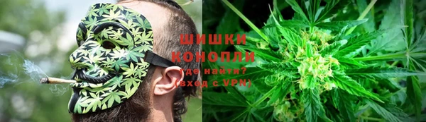 гидра Аркадак