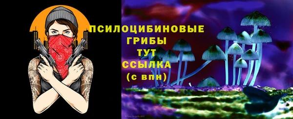 гидра Аркадак