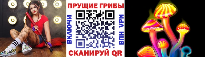 Псилоцибиновые грибы мухоморы  цена наркотик  hydra как войти  Гудермес 