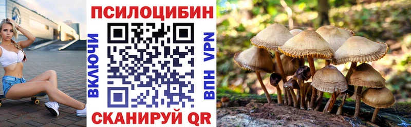 Галлюциногенные грибы MAGIC MUSHROOMS Гудермес