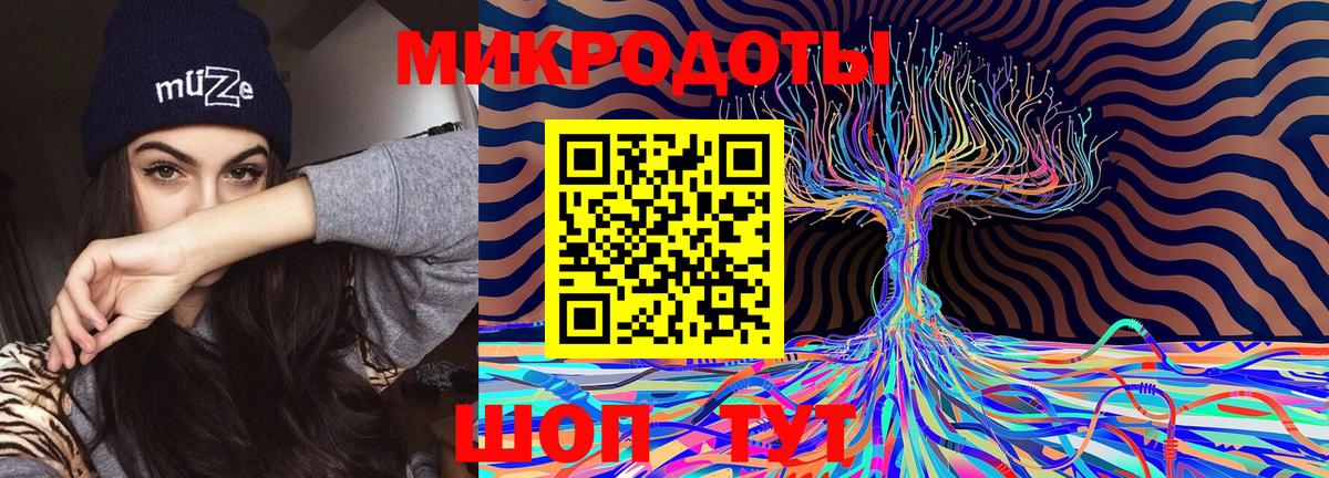 Гудермес  Галлюциногенные грибы прущие грибы  Вход с VPN  Псилоцибиновые грибы мицелий 