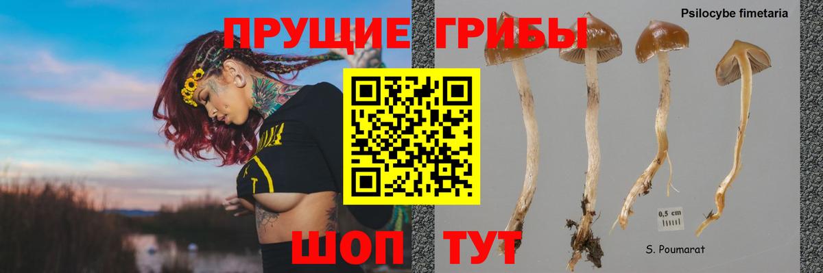 купить наркоту  Галлюциногенные грибы мухоморы  Гудермес  Псилоцибиновые грибы мухоморы 